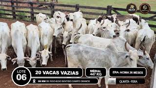 Vídeo LOTE 06