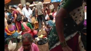 preview picture of video 'Incredible Goa / Mapusa Fish Market'