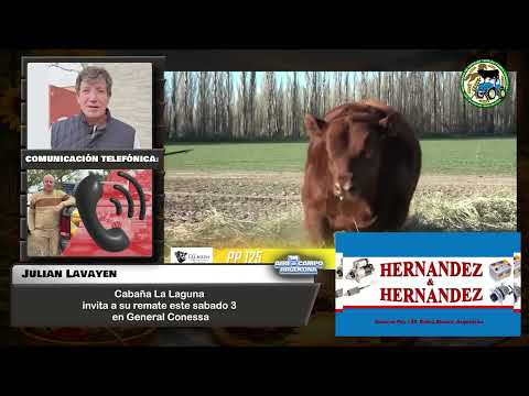 Julian Lavayen - Cabaña La Laguna invita a su remate este sábado 3 en General Conessa
