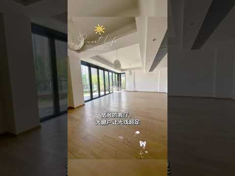 The Visionary Youtube Video