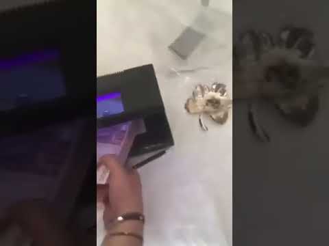 قم بزيارة مصرفنا للتعرف علينا بشكل أفضل thumbnail