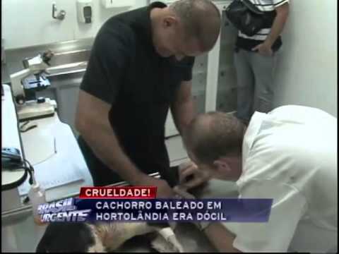 Brasil Urgente Campinas 25 04 2012 - bloco 02 - parte 01