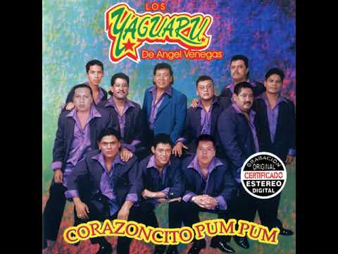 Los Yaguaru - Como Decirte Adiós (Audio)