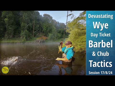 EPIC Day Ticket River Wye Barbel Fishing - Approach, Tactics & Bait - 17/8/24 (Video 511)