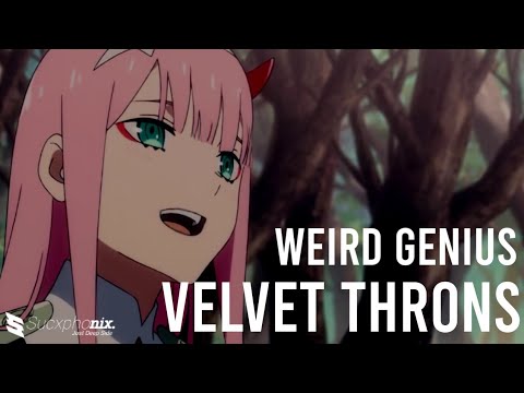 Weird Genius x Midnight Quickie - Velvet Thorns 「AMV」