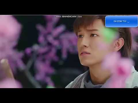 Mashup  Despacito, Attention, Shape of You  : Hoàng Lão Tà