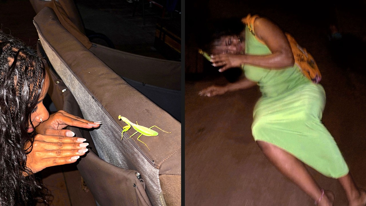 Insects are Fighting Back