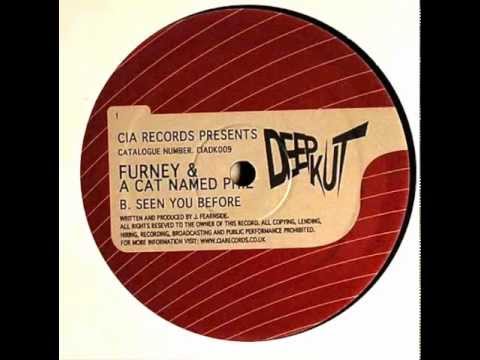 Furney & A Cat Named Phil - Seen You Before