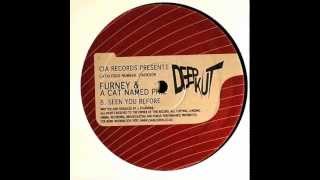 Furney & A Cat Named Phil - Seen You Before