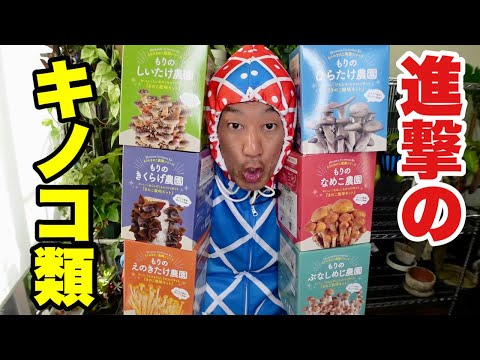 ヒラタケは根線虫などの一部の獲物を拒否しません