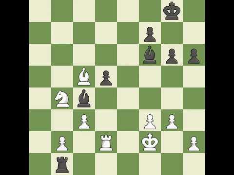 White Plat,V,Black Zhuravlev,StepanRuy Lopez Opening: Morphy Defense, Mackenzie, Center Attack,Even