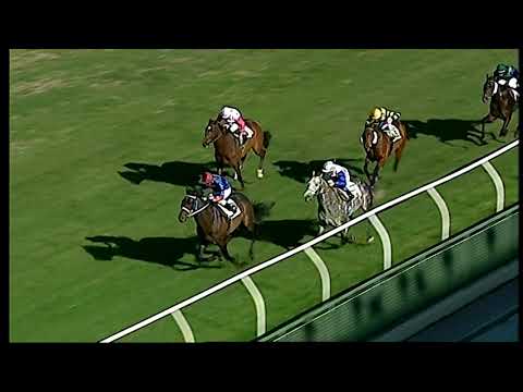 Napoli Galoppo 23/01/2022 - 1ª corsa