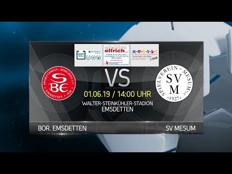 HEIMSPIEL 18/19 - Kreispokalfinale ST / Bor. Emsdetten - Mesum