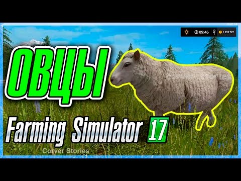 Farming Simulator 17. Гайд по овцам.