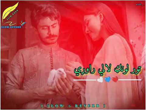 Tor Lawang Lali Rawari | Pashto News Trending Song | [ Slow + Reverb ]