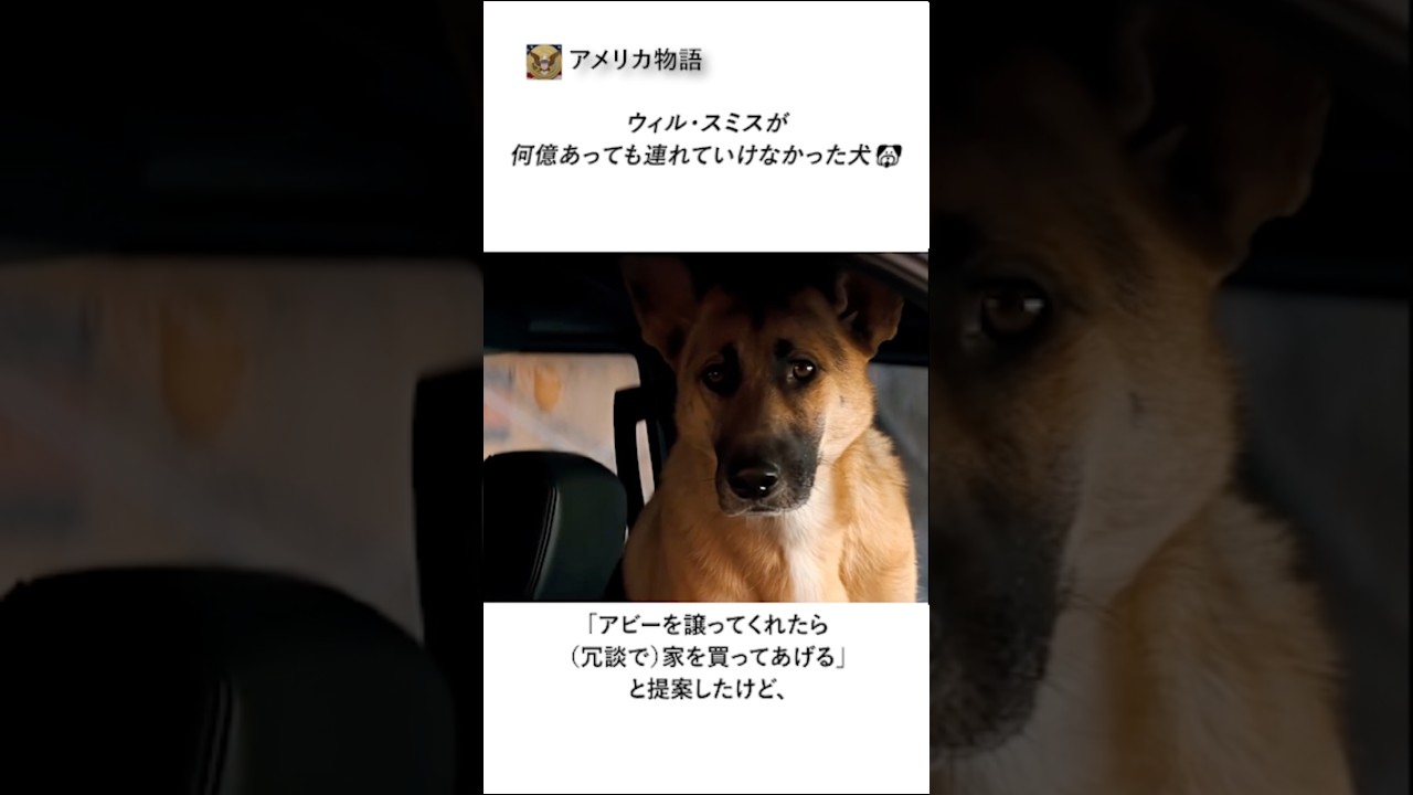 ウィル・スミスが何億あっても連れていけなかった犬🐶