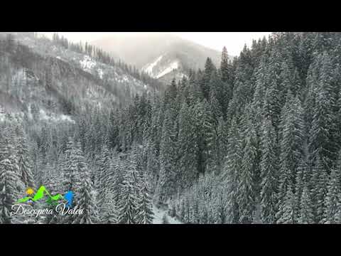 Cătălin Stepa - Prima zăpadă versuri: Sorin Poclitaru, montaj video: Cristian Filip