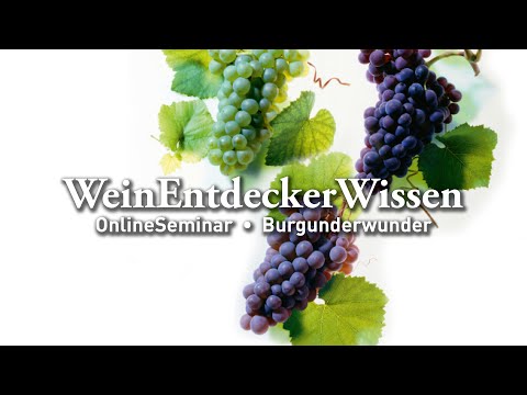 Burgunderwunder – WeinEntdeckerWissen OnlineSeminar