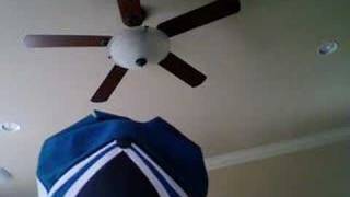 Ecuador Is Lovely This Time of Year-Inkwell