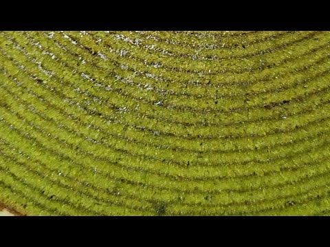 Roadshow que no deberías ver el viernes a altas horas de la noche/Delicious Matcha Baumkuchen