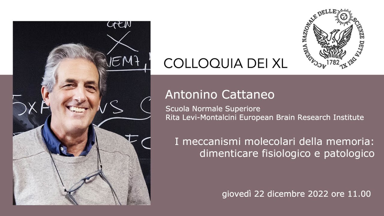 I meccanismi molecolari della memoria: dimenticare fisiologico e patologico </br> Antonino Cattaneo