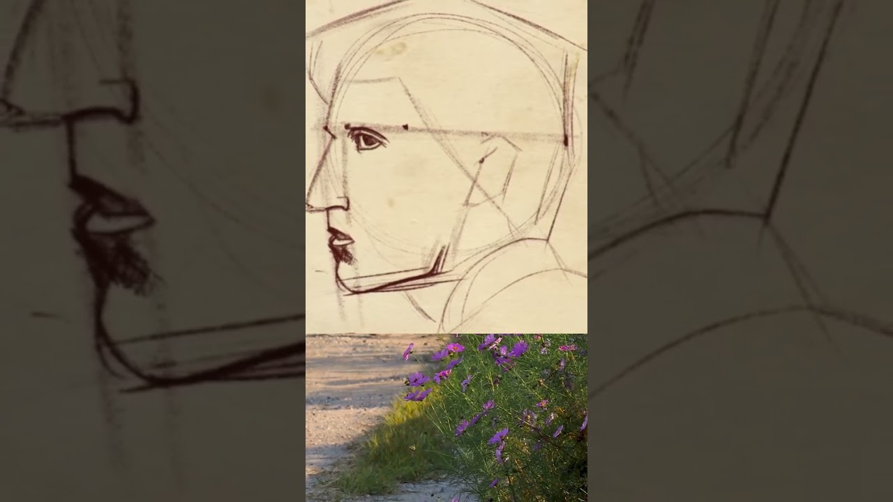 Step by Step: Beginning Drawing How to draw a mans face in profile