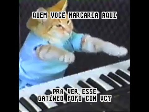 #TrazMaisUm para seguir o Ciro