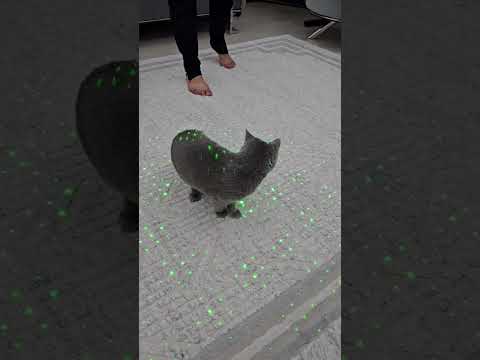 Bücür   çok şaşirdi #keşfet #elifsinem