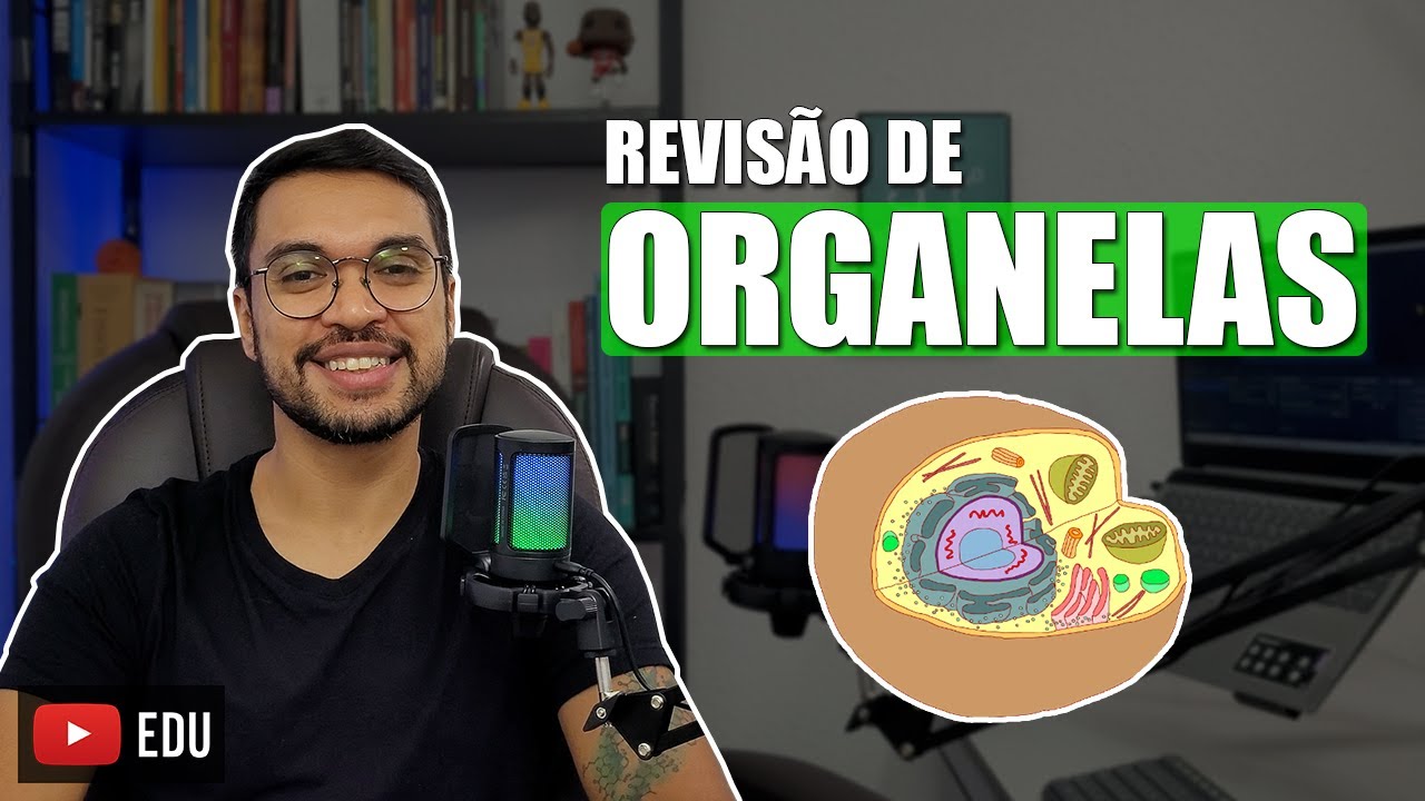 CÉLULAS - Estrutura e função [BioCel 07]