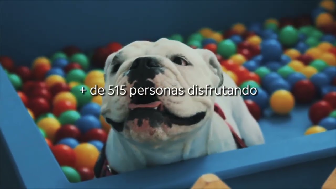 Activación Día del Perro - AT&T México