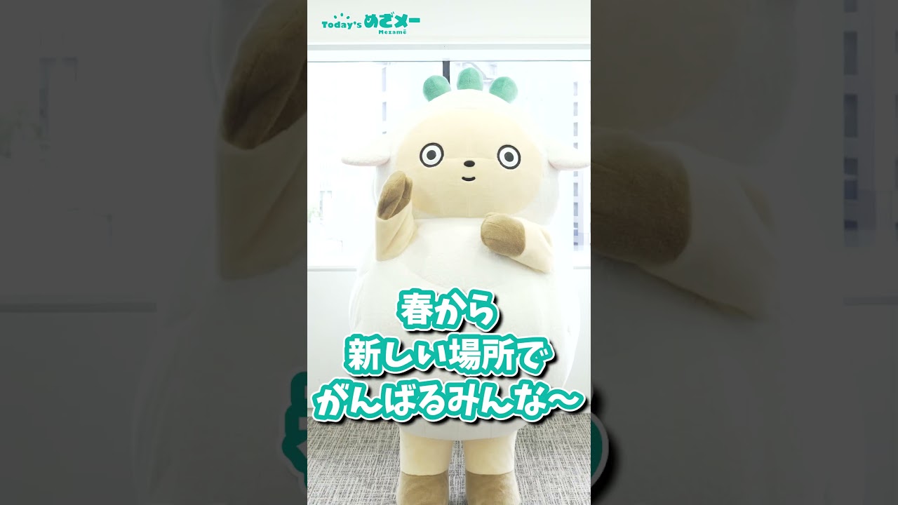 Today’sめざメー 卒業編　 #ゆるキャラ  #kawaii #羊 #セブンイレブン#めざメー #卒業式