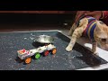 Get Ready To Be AMAZED By This Matchbox Train