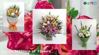 Send Flowers to Sharjah as a Gift for Anyone | With Personalised Greetings
