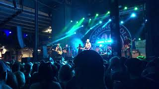 Flogging Molly - The Days We&#39;ve Yet to Meet