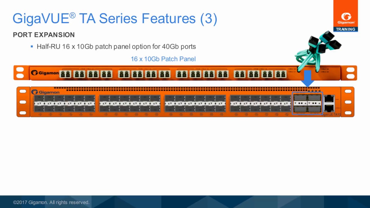 What are the additional features supported by the GigaVUE TA Series