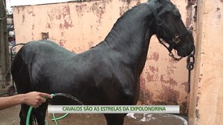 Miniatura do vídeo