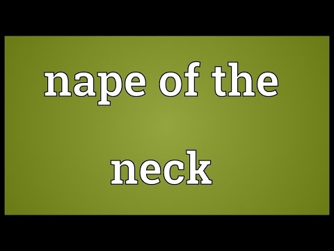 Nape of the neck Meaning