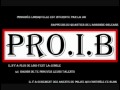 Pro iB   Pro liminaire   YouTube4