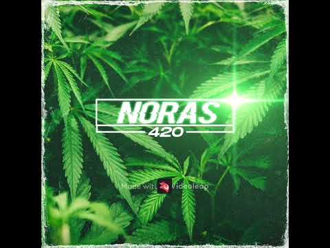 Noras420 - Agresja
