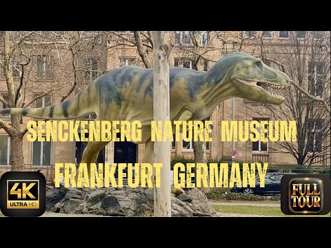 Senckenberg Naturmuseum