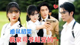 王道铁&杨殊予 | 心狠手辣大佬VS坚韧腹黑小侄女，他把她当小辈，到因她的触碰动心，不可救药地爱上了这个早已蜕变的 “小白兔”[MULTI SUB | FULL]#MiniDrama #精彩大陆短剧