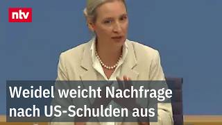 Mit Blick auf Haushaltspolitik konstatiert Weidel, Deutschland sei "de