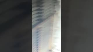 Download lagu Tik tok Terbaru Ratuaullatp Cewe Cantik💞 / Tik tok Indonesia Viral / Ampun Bang Jago🙏#part 2 mp3