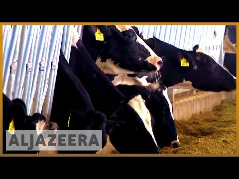 🇶🇦 Gulf crisis one year: Qatar steps up self-sustainability | Al Jazeera English