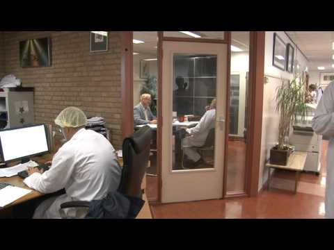 Bedrijf in Beeld: Wellink Lekkerkerk