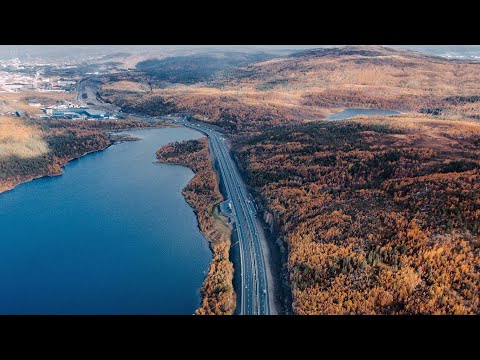 Forty Cats - From The North [Silk Music]