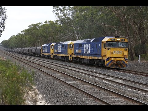 8163, 8128 and 8164 on 2CM6 interstate grain at Seymour- 22/1/18