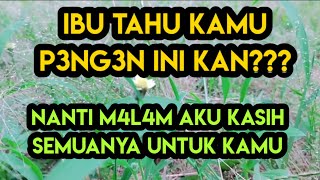 Download lagu The beauty of Bu Wati's Apem Cake makes you curious (Romantic Story) mp3 Download lagu The beauty of Bu Wati's Apem Cake makes you curious (Romantic Story) mp3