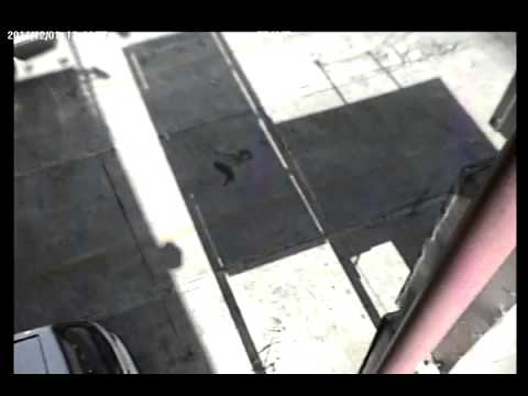 DOMO PTZ 10X EXT-INTERIOR [PTZ-2]