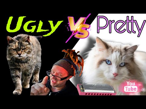 Pretty VS Ugly Creating and Relieving tension. 